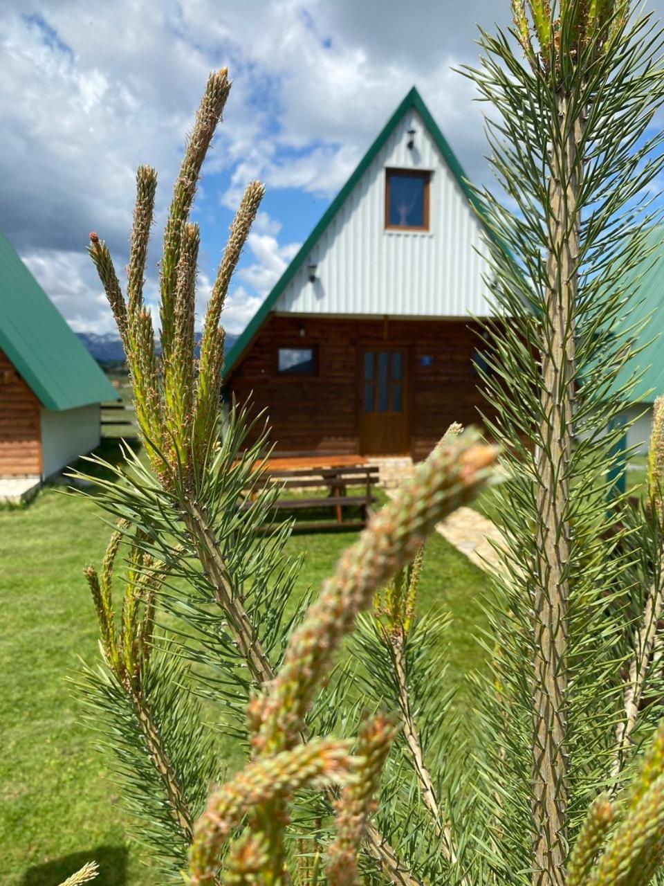 Family House Eagle Eye Villa Žabljak Exteriör bild